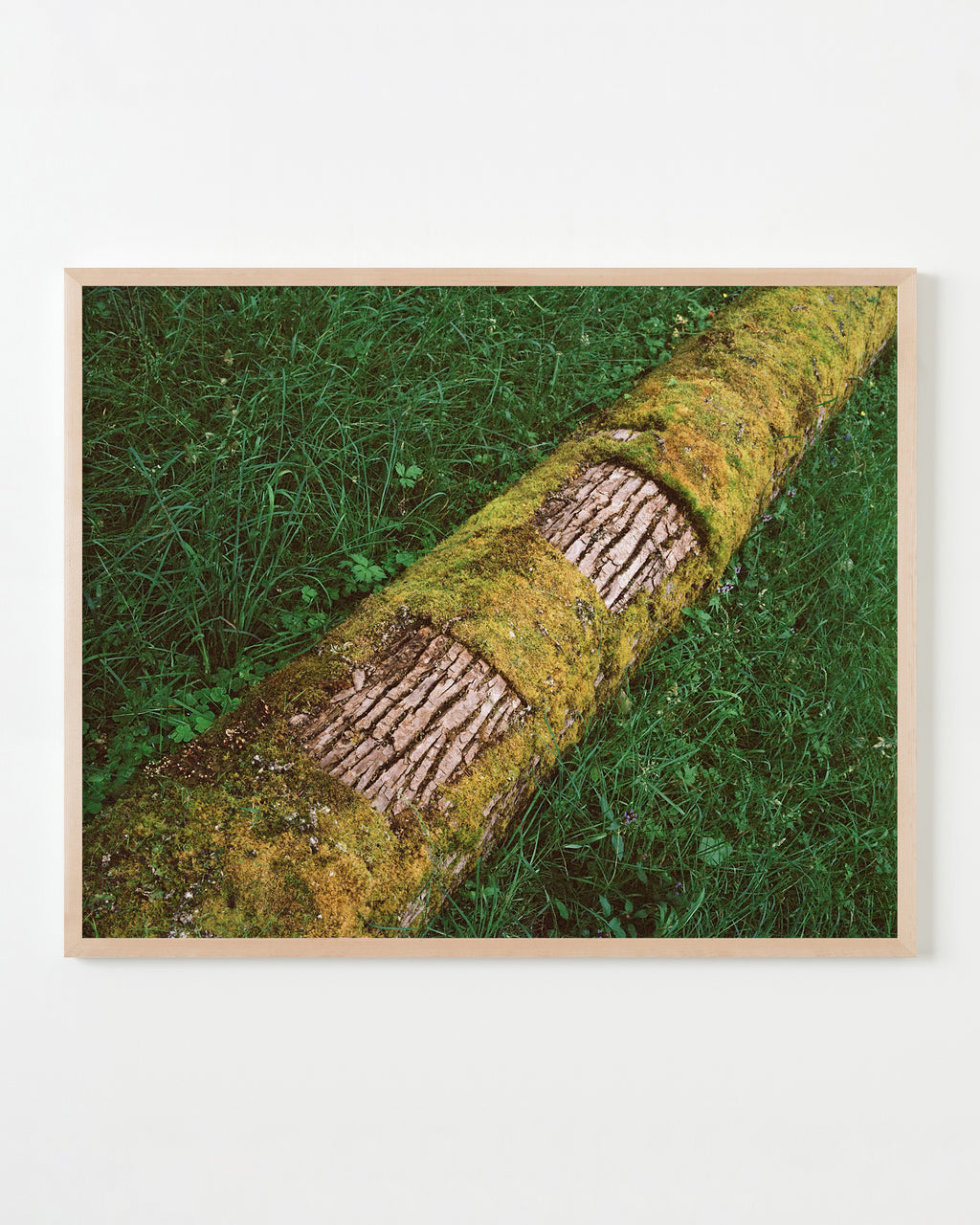 Photography by Anna Beeke titled "Deviant Geometry" - 4.