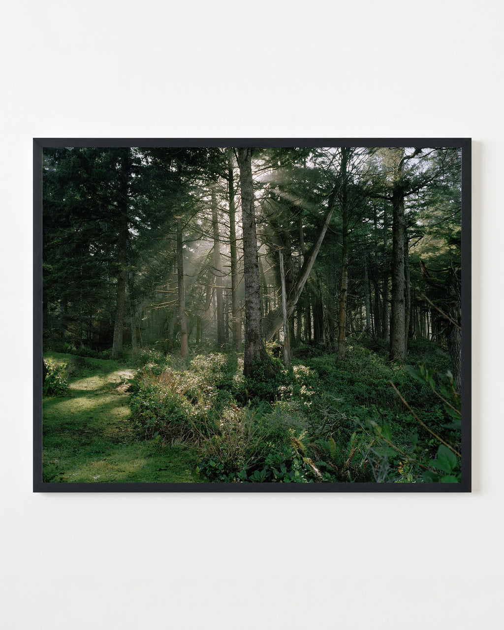 Photography by Anna Beeke titled "Lux Dei" - 3.