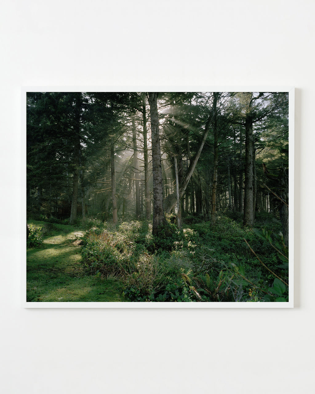 Photography by Anna Beeke titled "Lux Dei" - 1.