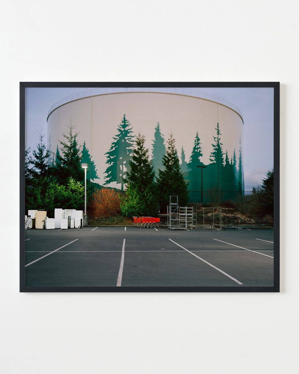 Photography by Anna Beeke titled "Mimic" - 3.