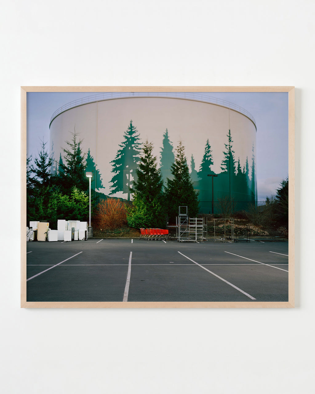 Photography by Anna Beeke titled "Mimic" - 4.