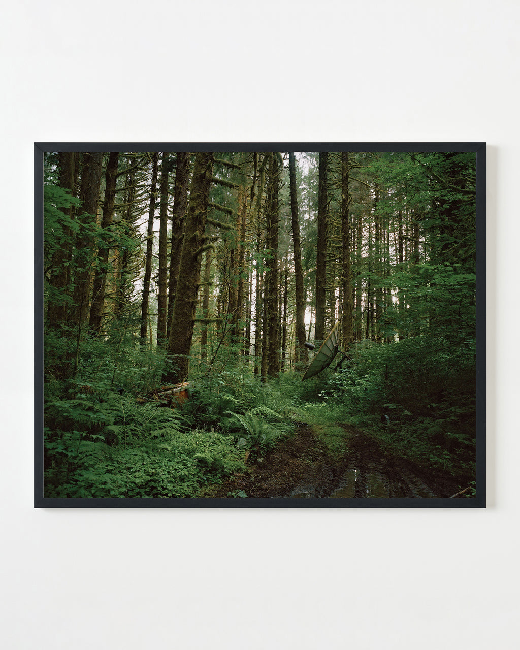 Photography by Anna Beeke titled "Satellite" - 3.