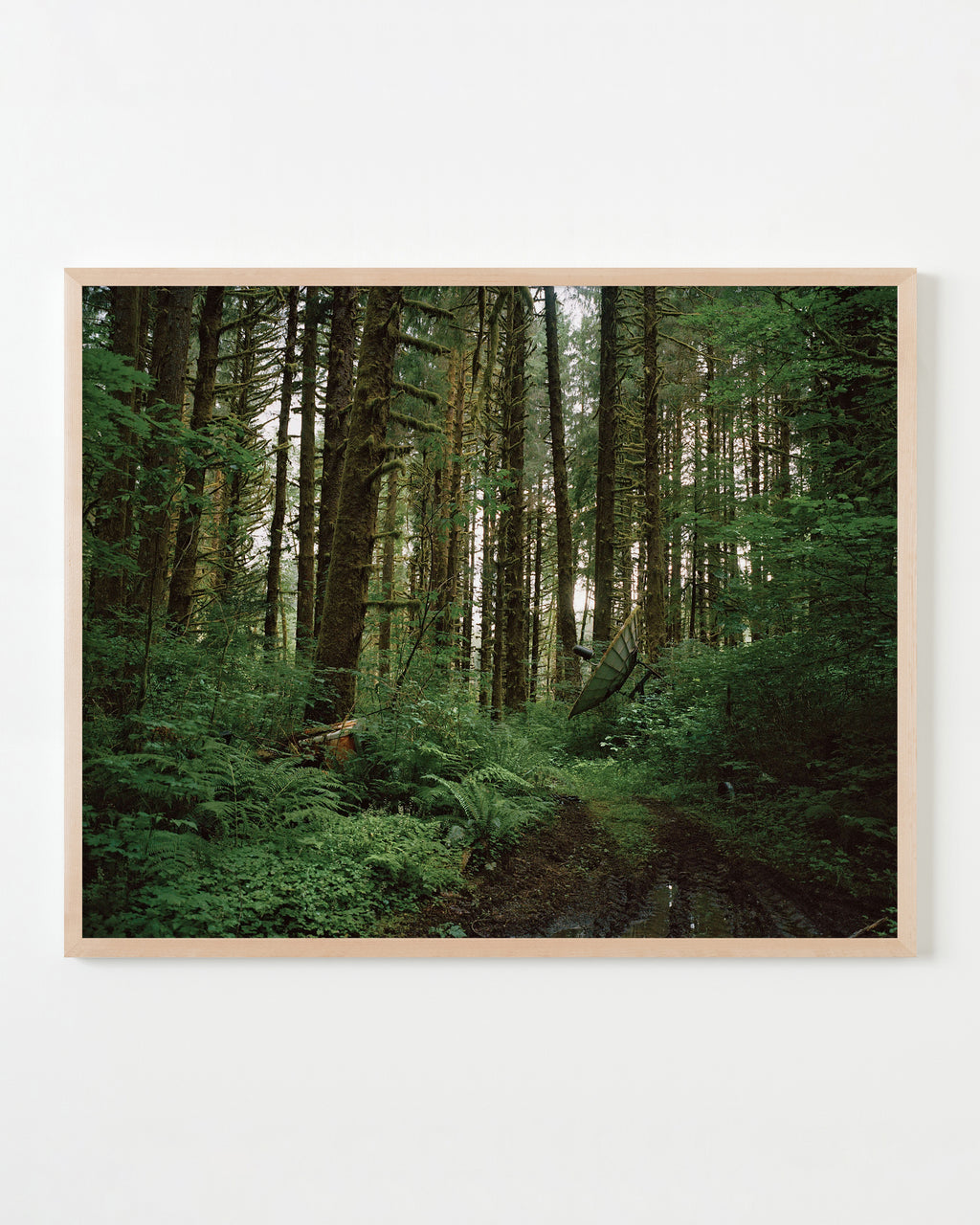 Photography by Anna Beeke titled "Satellite" - 4.
