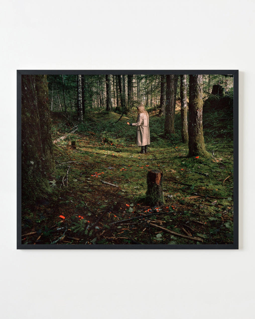 Photography by Anna Beeke titled "Windfall I" - 3.