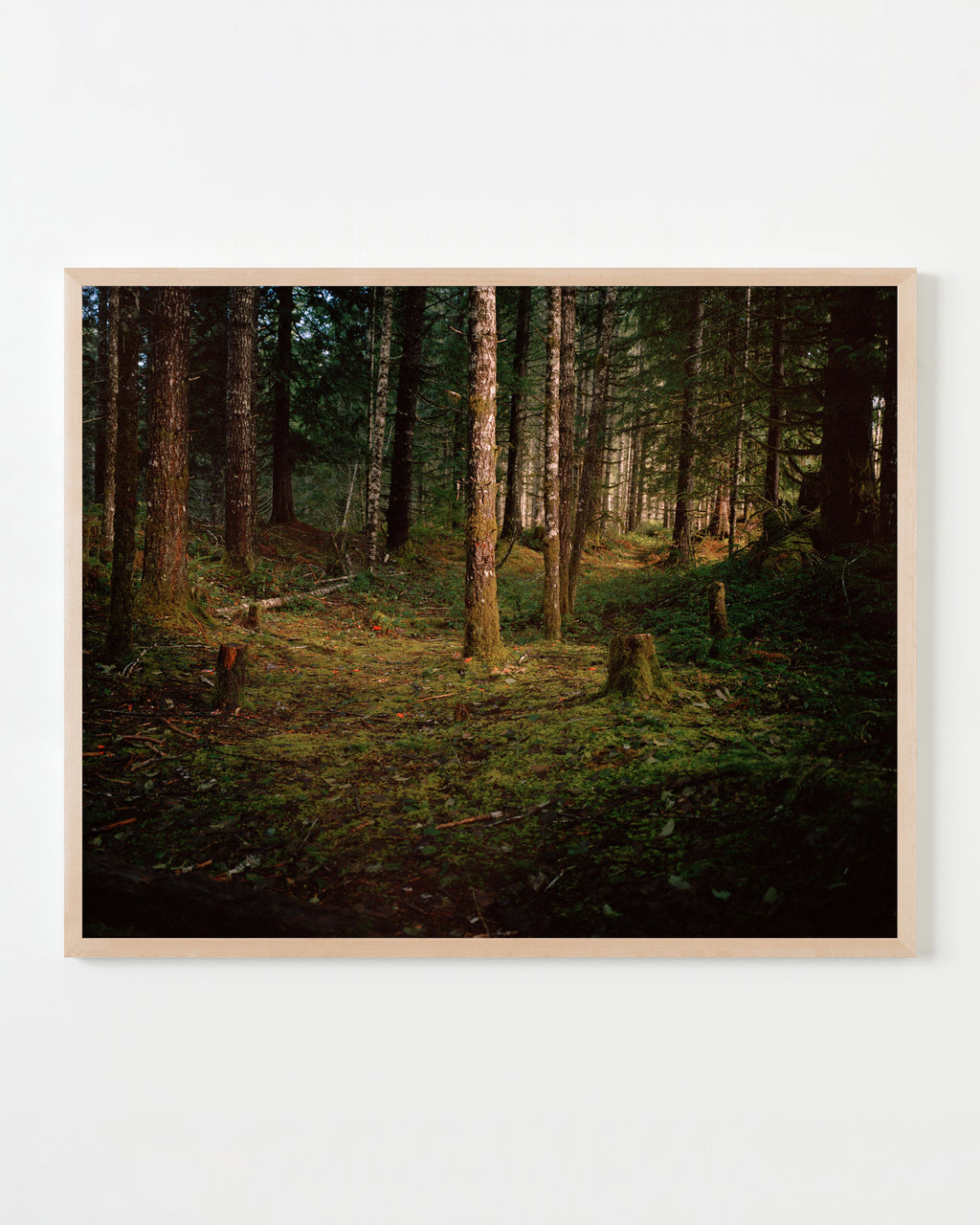 Photography by Anna Beeke titled "Windfall II" - 4.