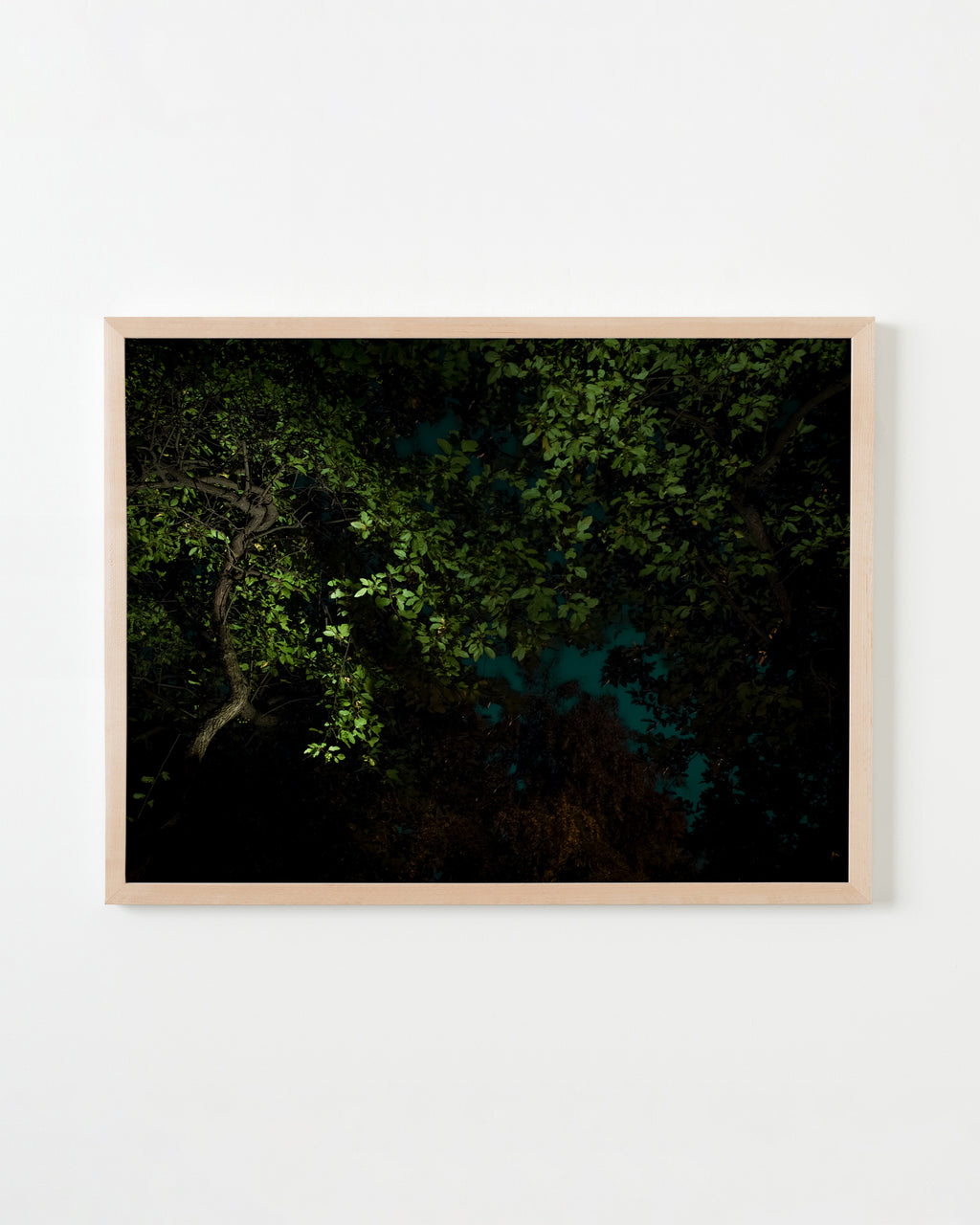 Photography by Anna Beeke titled "Midnight in the Garden #1" - 3.