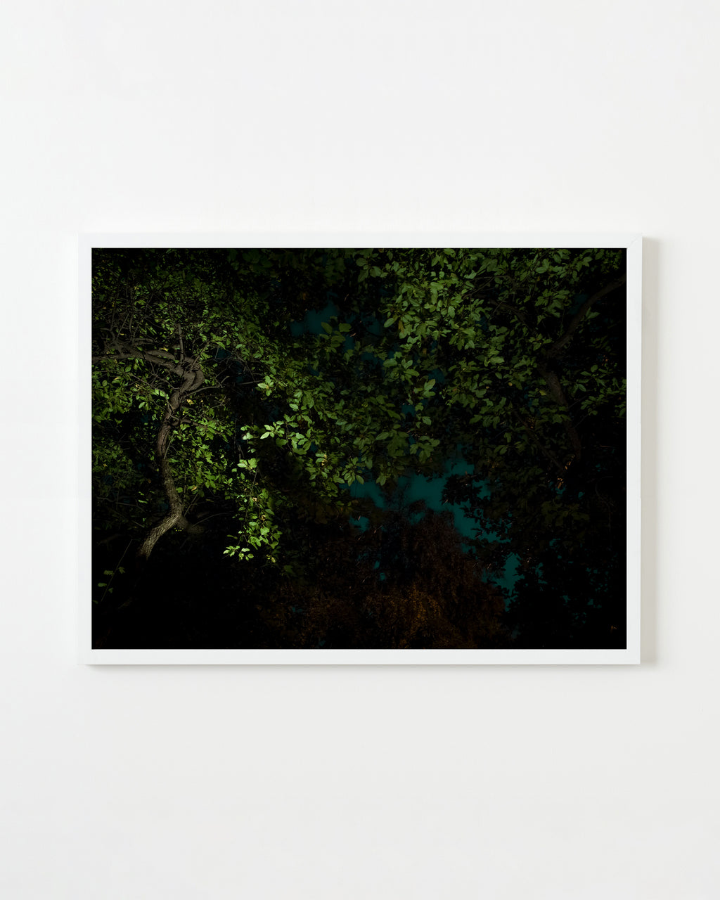 Photography by Anna Beeke titled "Midnight in the Garden #1" - 4.