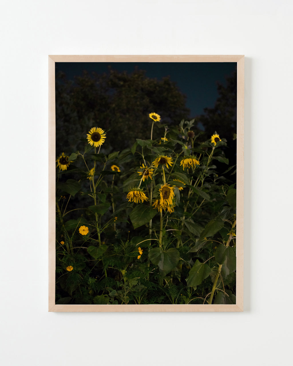 Photography by Anna Beeke titled "Midnight in the Garden #123" - 3.