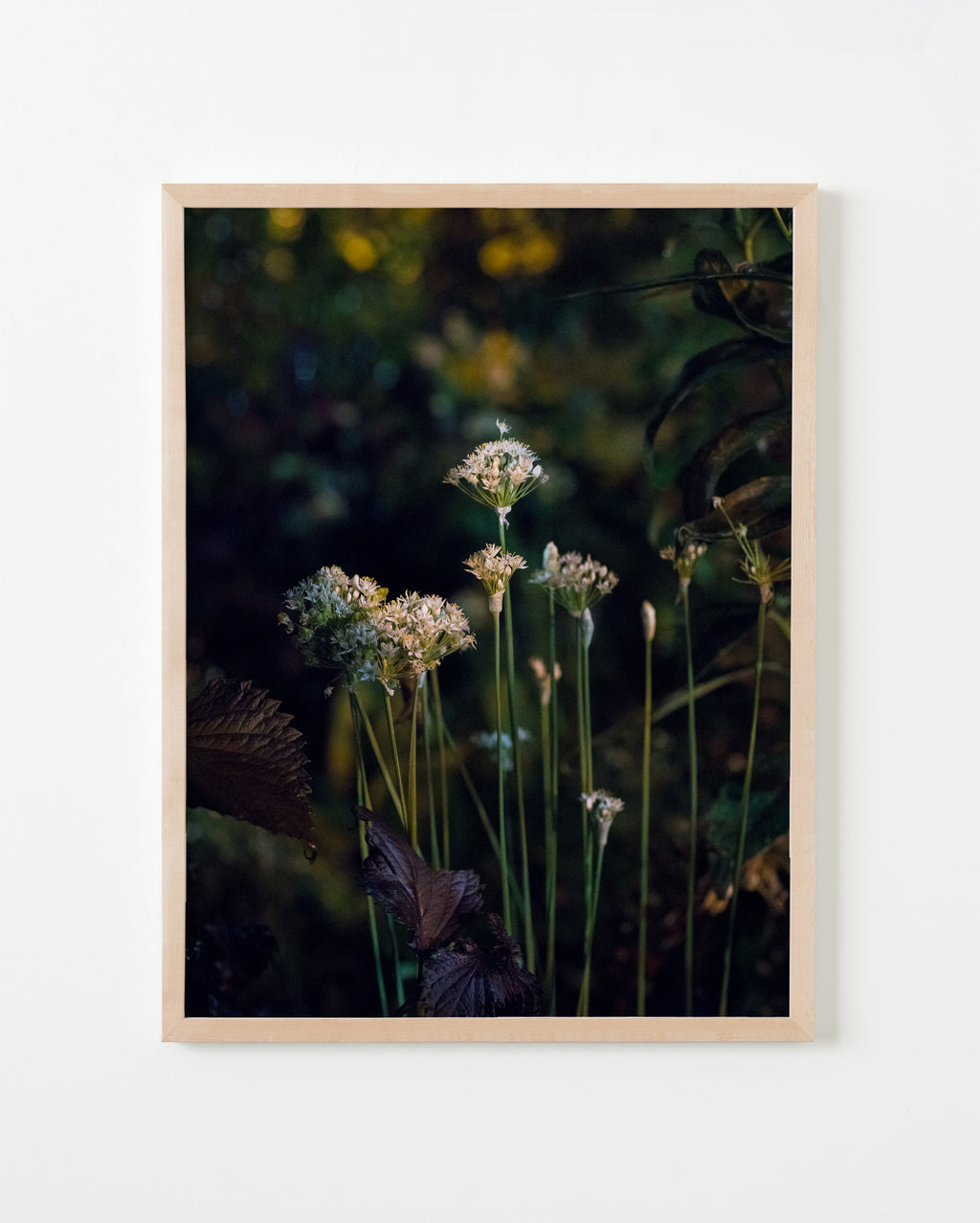 Photography by Anna Beeke titled "Midnight in the Garden #151" - 3.