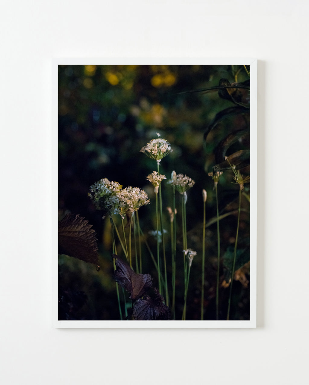 Photography by Anna Beeke titled "Midnight in the Garden #151" - 4.