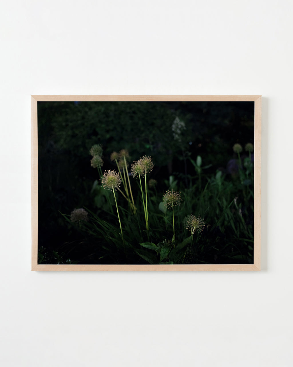 Photography by Anna Beeke titled "Midnight in the Garden #190" - 3.