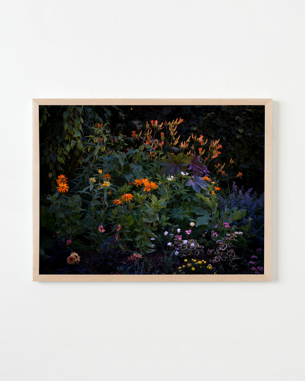 Photography by Anna Beeke titled "Midnight in the Garden #212" - 3.
