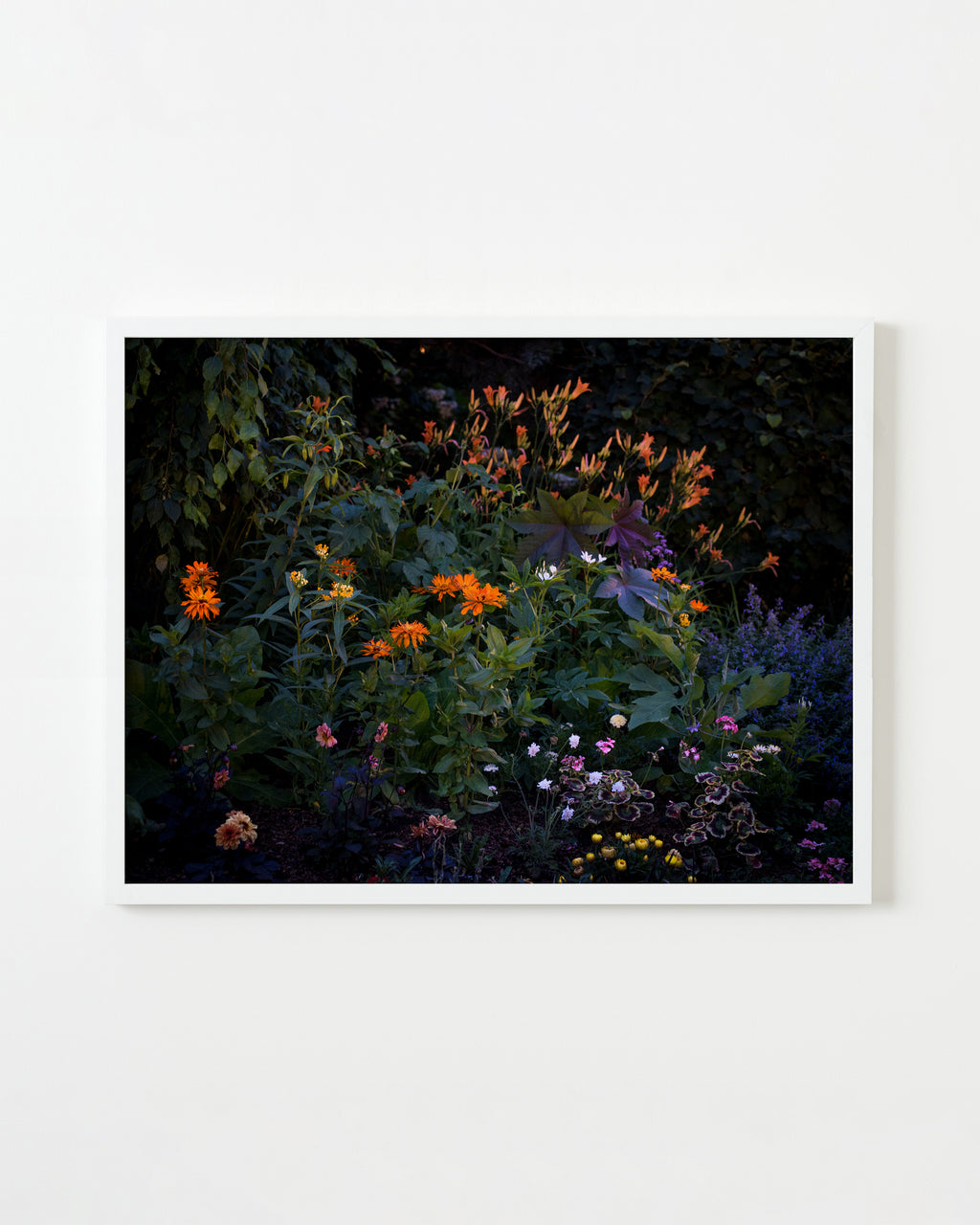 Photography by Anna Beeke titled "Midnight in the Garden #212" - 4.
