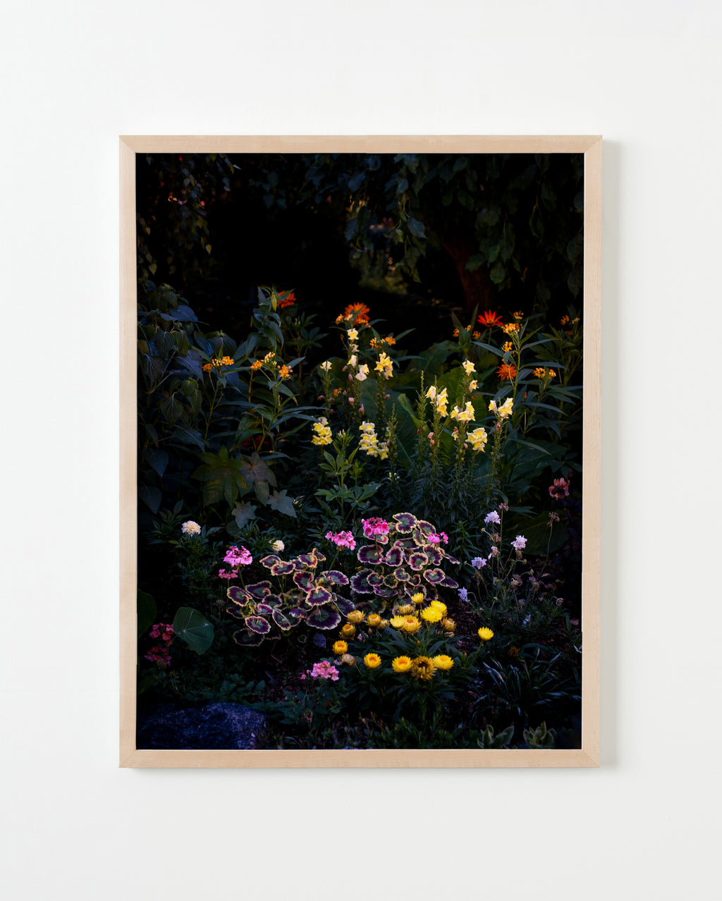 Photography by Anna Beeke titled "Midnight in the Garden #213" - 3.