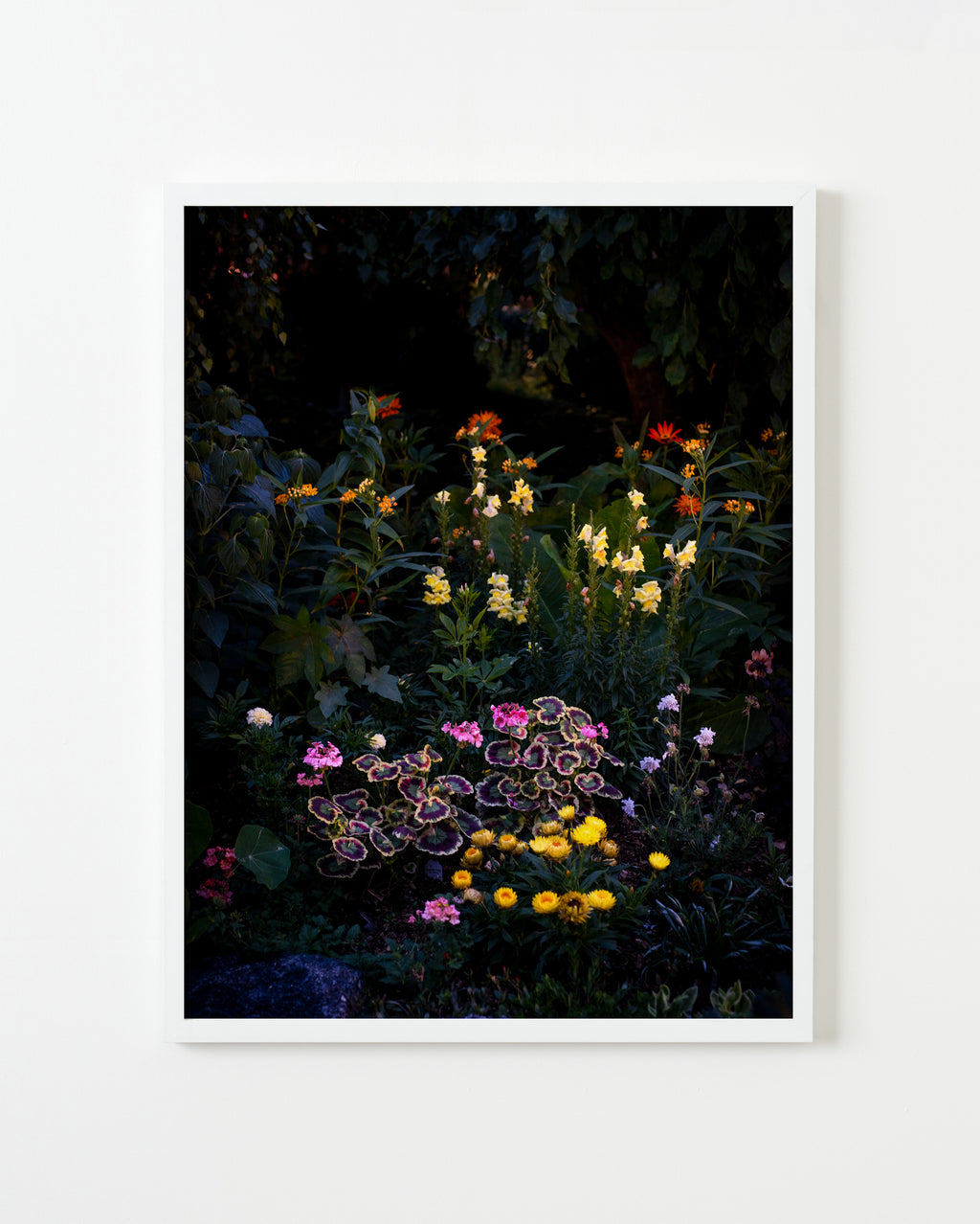 Photography by Anna Beeke titled "Midnight in the Garden #213" - 4.