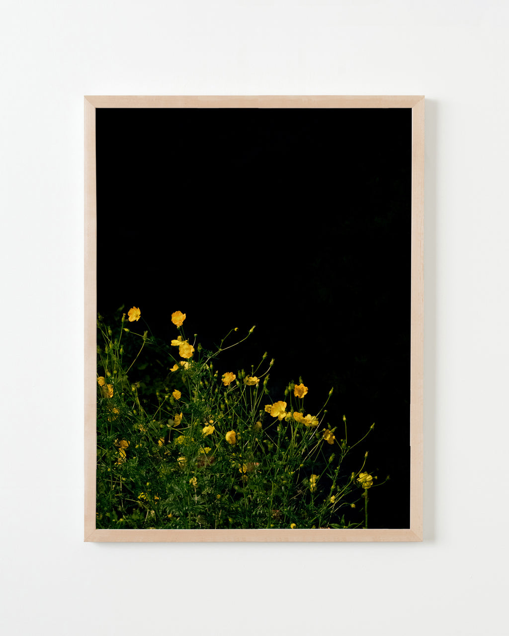 Photography by Anna Beeke titled "Midnight in the Garden #32" - 3.