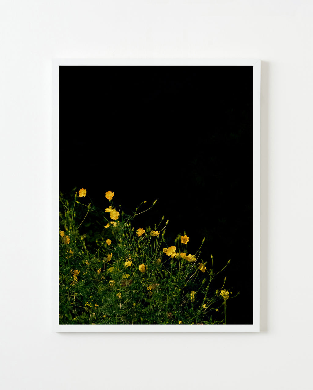 Photography by Anna Beeke titled "Midnight in the Garden #32" - 4.