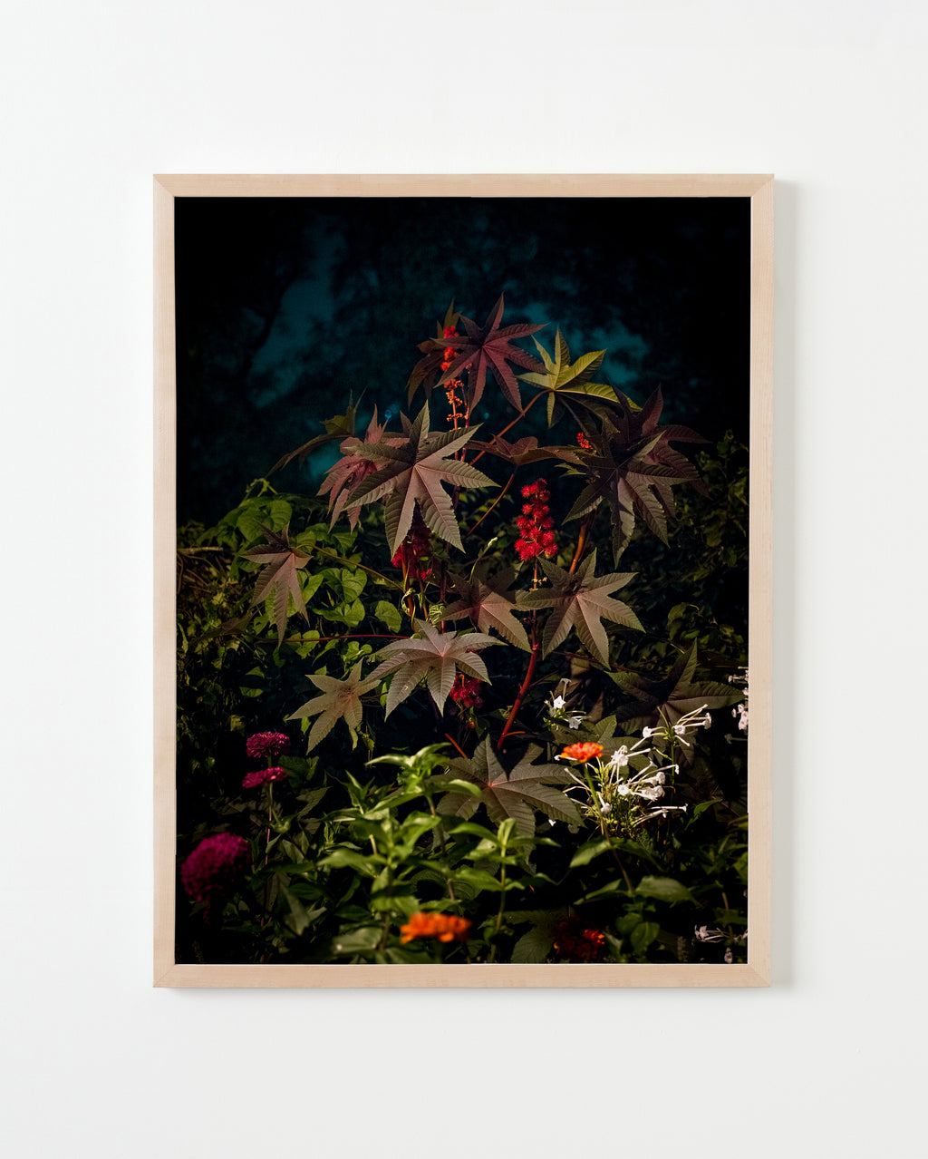 Photography by Anna Beeke titled "Midnight in the Garden #40" - 3.