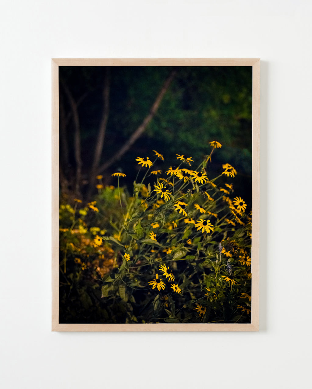 Photography by Anna Beeke titled "Midnight in the Garden #46" - 3.