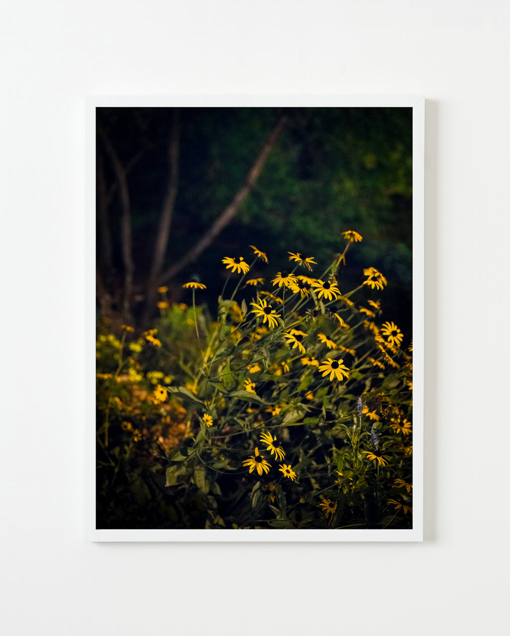 Photography by Anna Beeke titled "Midnight in the Garden #46" - 4.