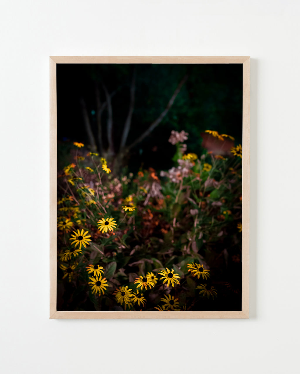 Photography by Anna Beeke titled "Midnight in the Garden #7" - 3.