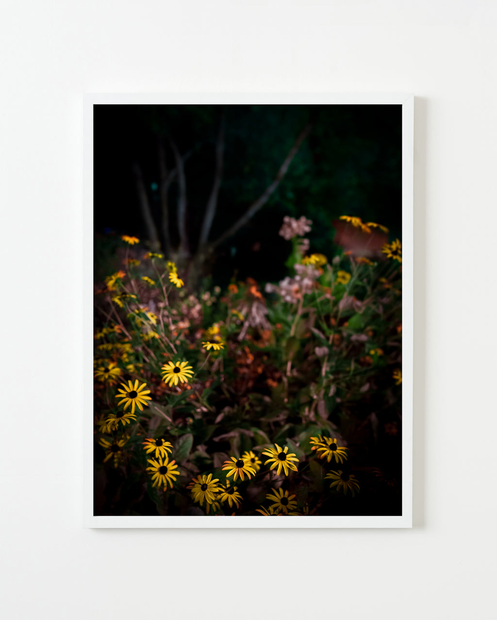 Photography by Anna Beeke titled "Midnight in the Garden #7" - 4.