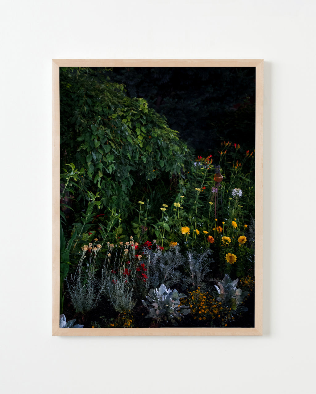 Photography by Anna Beeke titled "Midnight in the Garden #82" - 3.