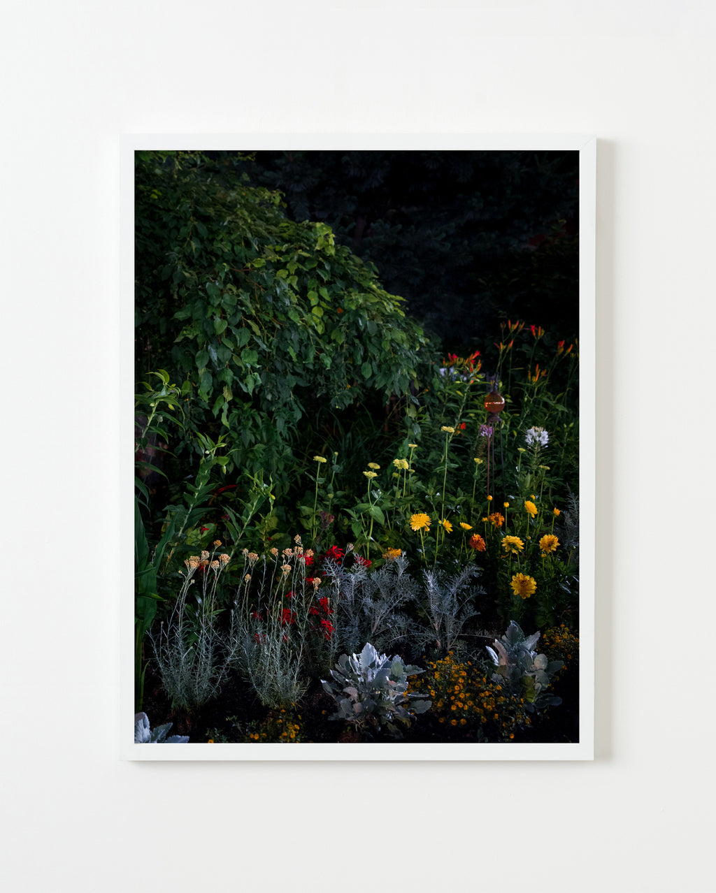 Photography by Anna Beeke titled "Midnight in the Garden #82" - 4.