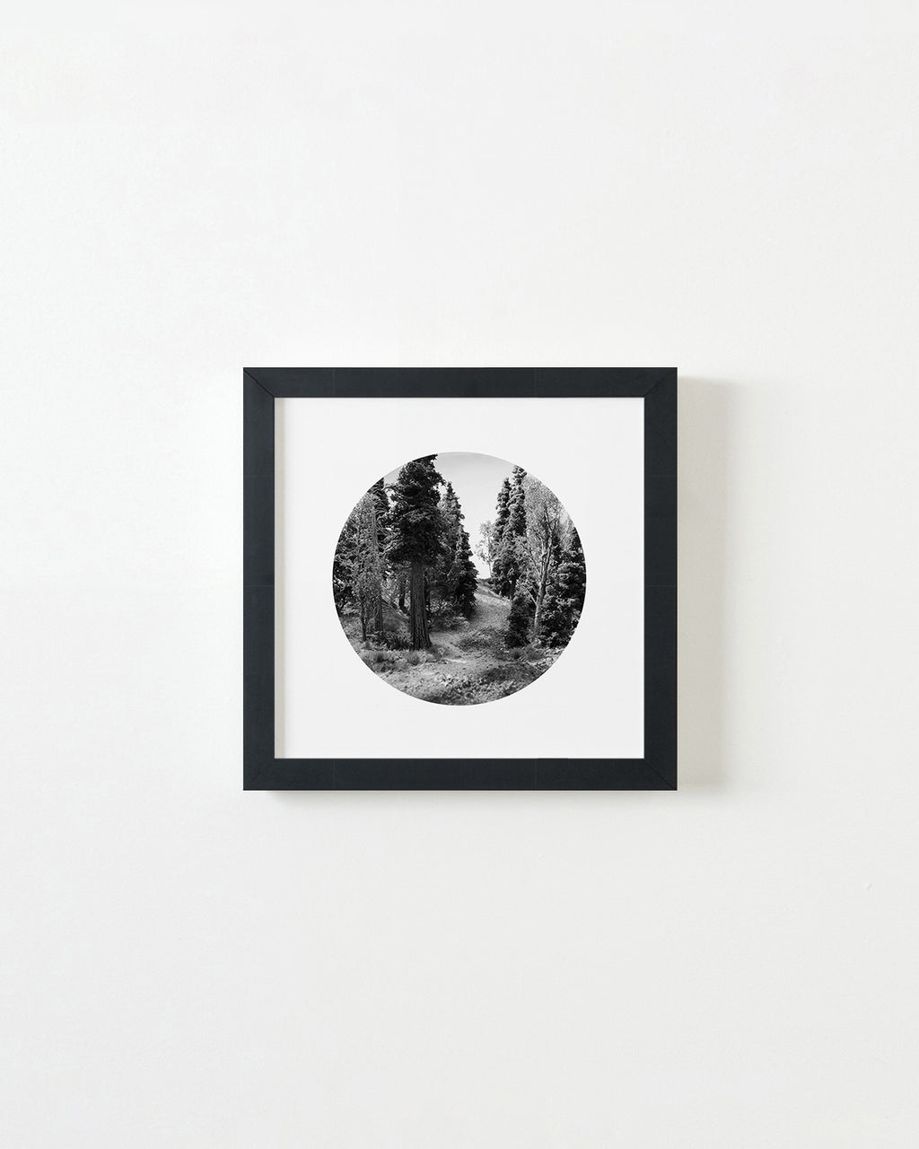 Photography by Bill Finger titled "Trailhead - Day" - 3.