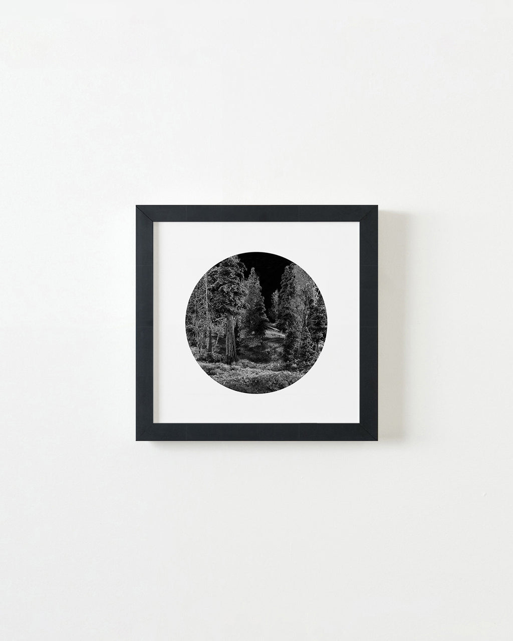 Photography by Bill Finger titled "Trailhead - Night" - 3.