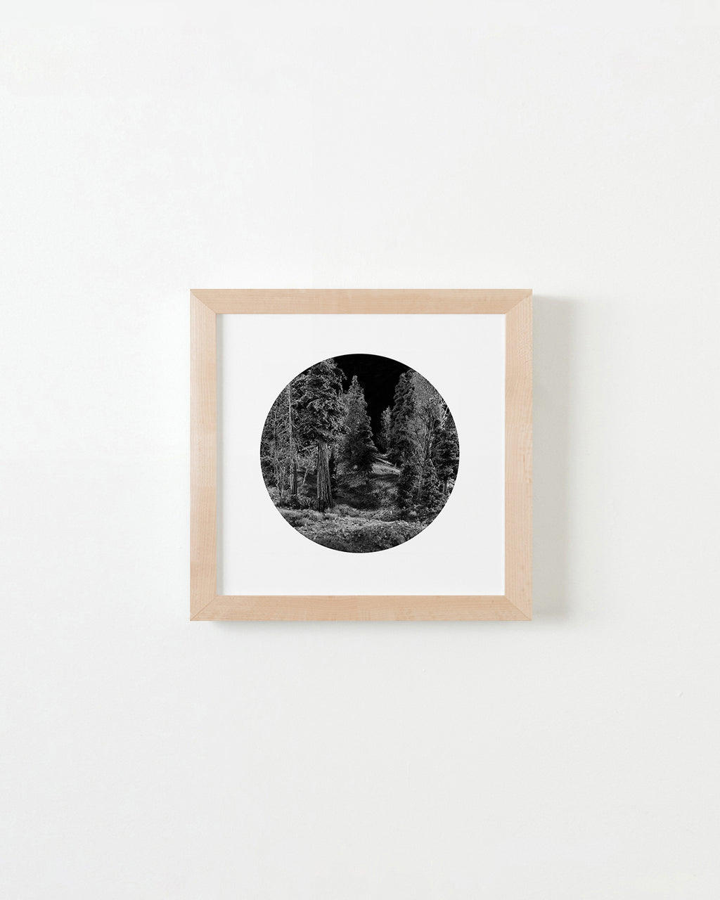 Photography by Bill Finger titled "Trailhead - Night" - 4.