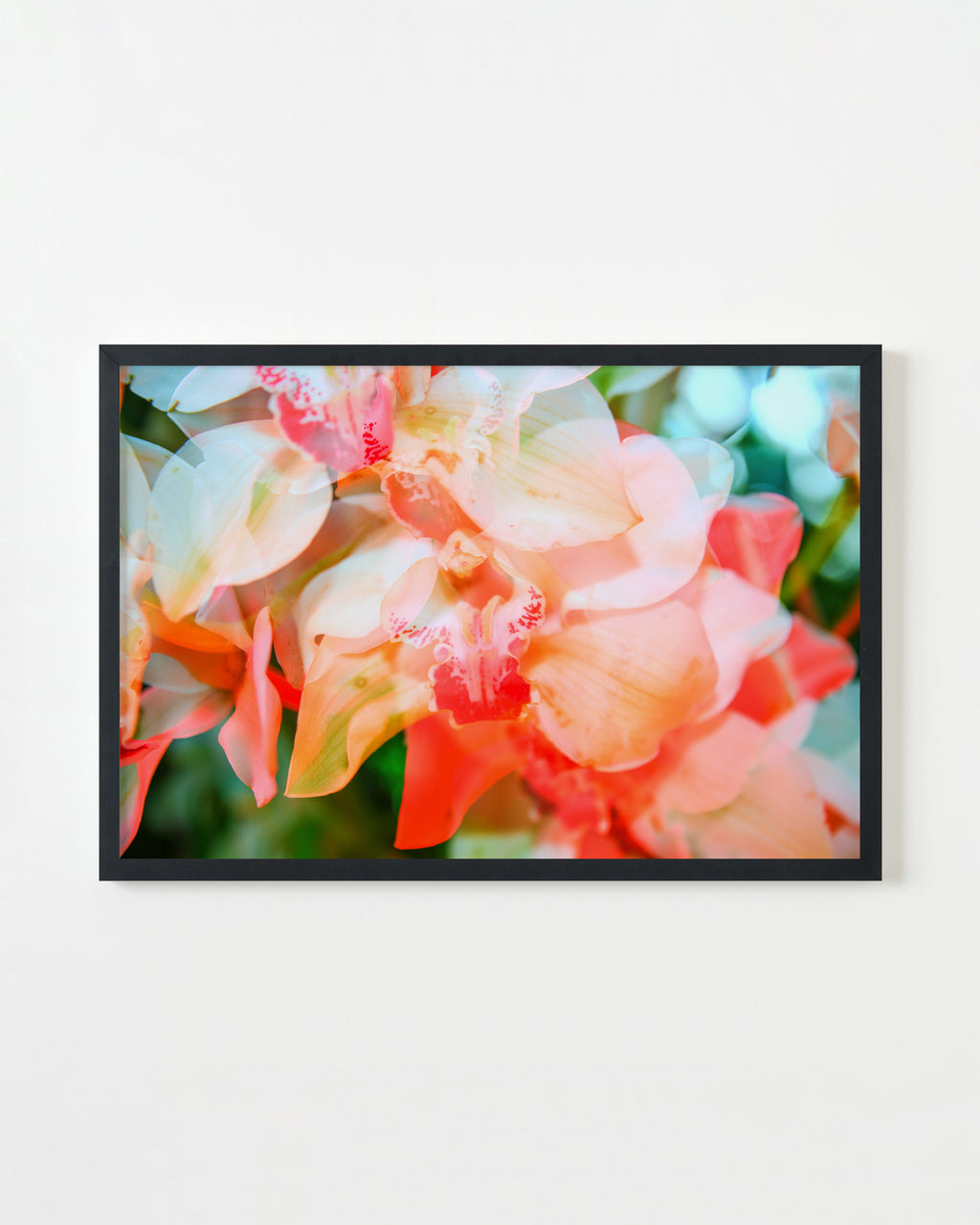 Photography by Dolly Faibyshev titled "Counting Flowers on the Wall" - 3.