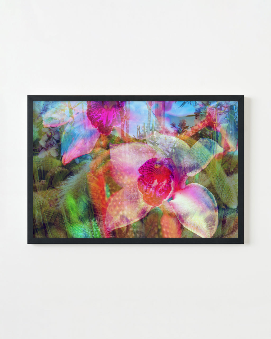 Photography by Dolly Faibyshev titled "I Dream of Gardens in the Desert Sand" - 3.