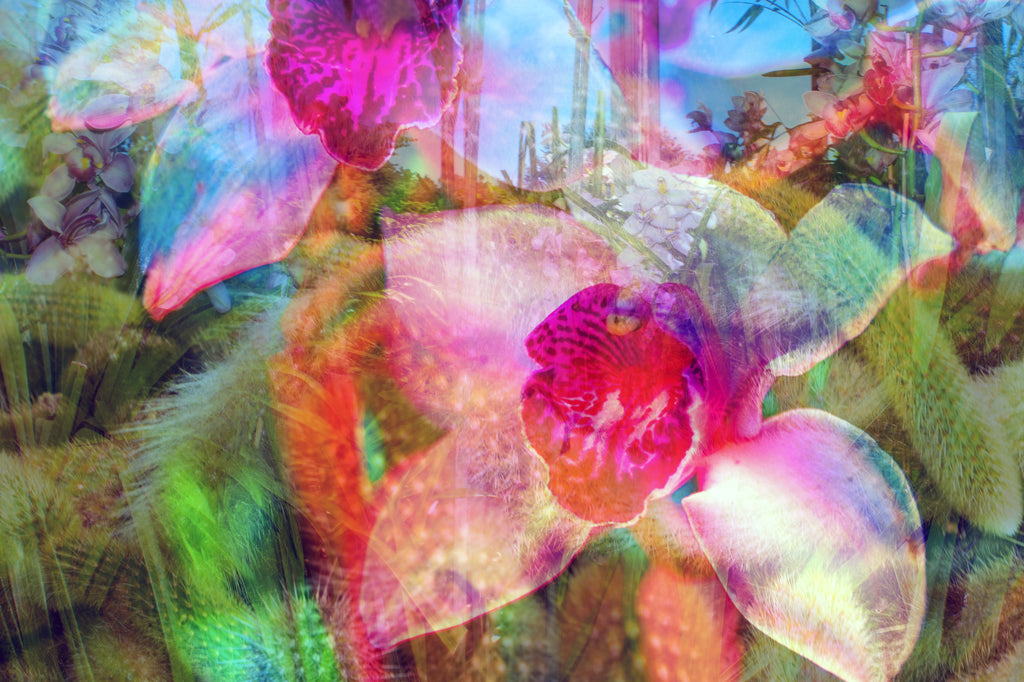 Photography by Dolly Faibyshev titled "I Dream of Gardens in the Desert Sand" - 2.