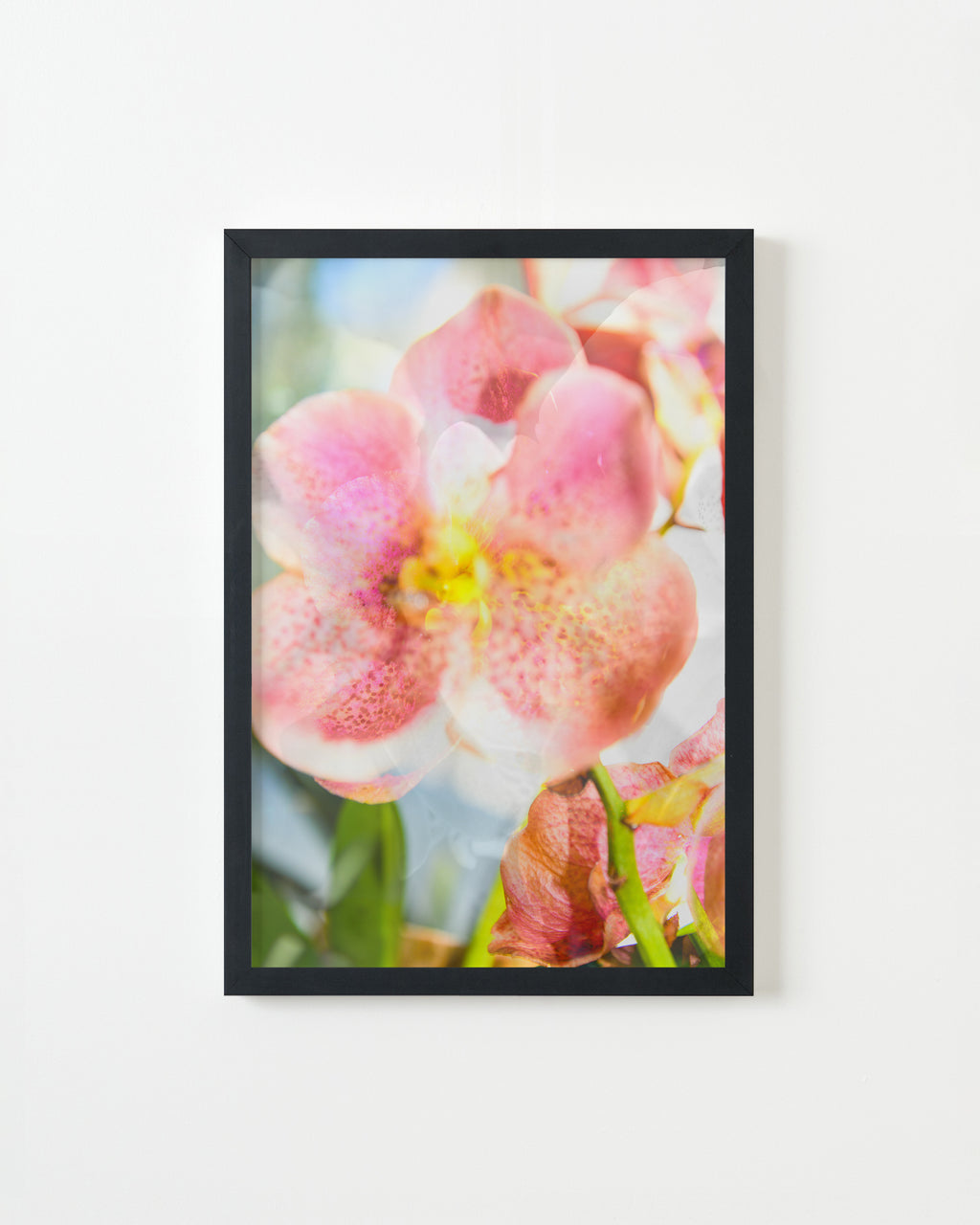 Photography by Dolly Faibyshev titled "She is a Flower that Grows" - 3.