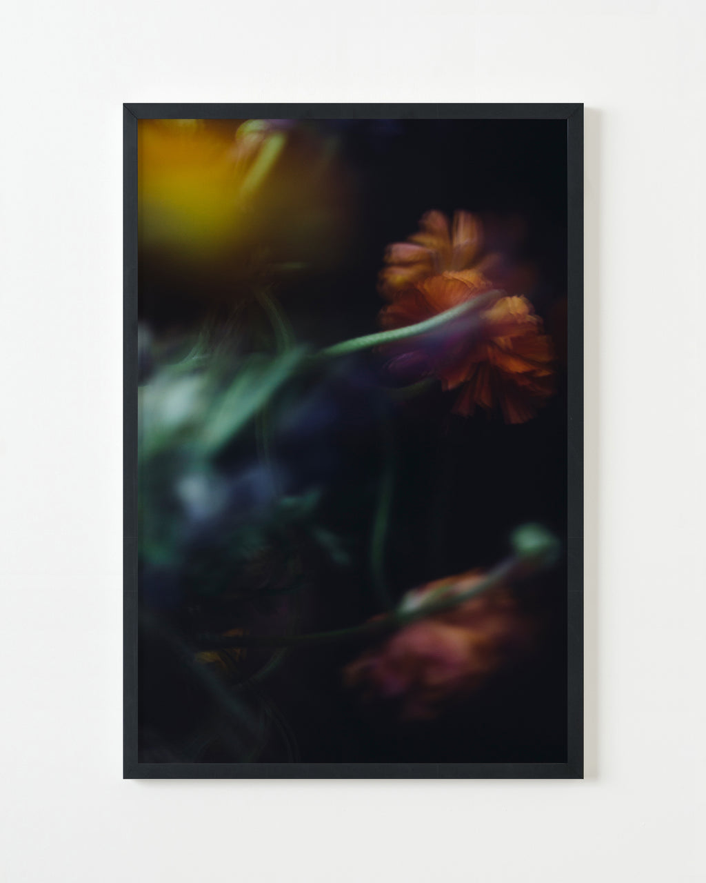 Photography by Jessica Haye & Clark Hsiao titled "Ranunculus" - 4.