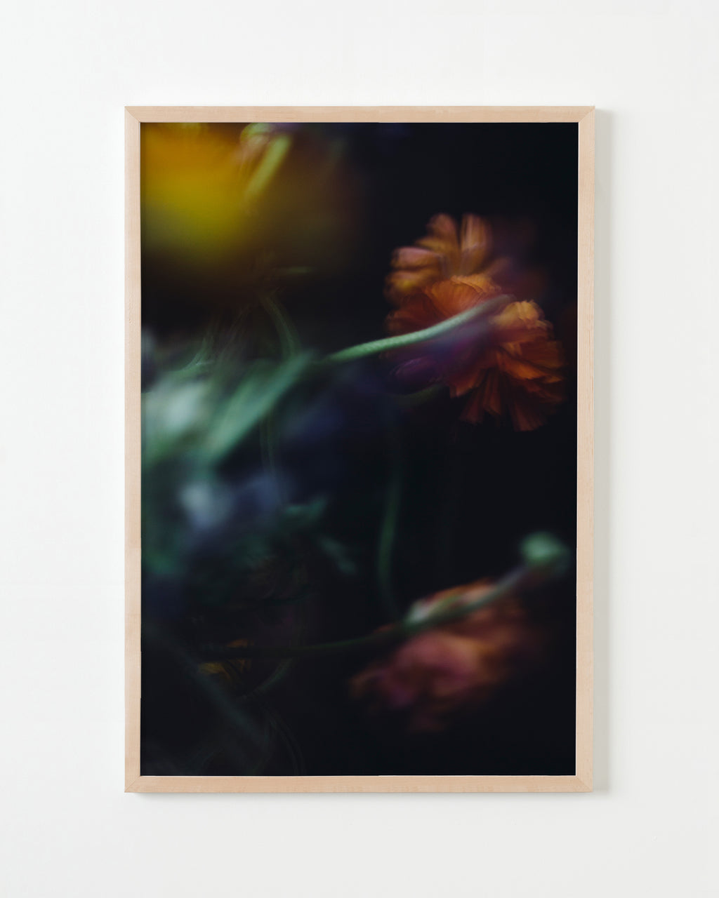 Photography by Jessica Haye & Clark Hsiao titled "Ranunculus" - 3.