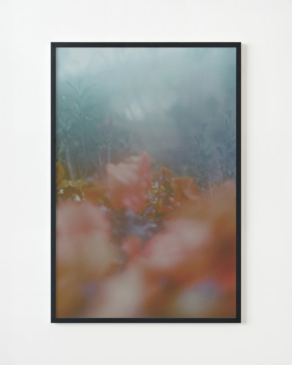 Photography by Jordan Sullivan titled "The Autumns of Spring 12" - 4.