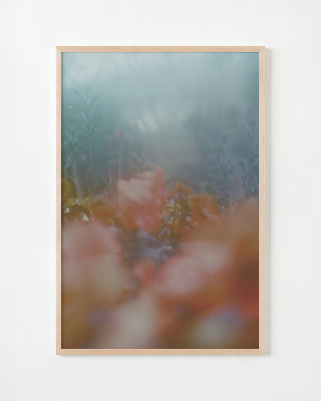 Photography by Jordan Sullivan titled "The Autumns of Spring 12" - 5.