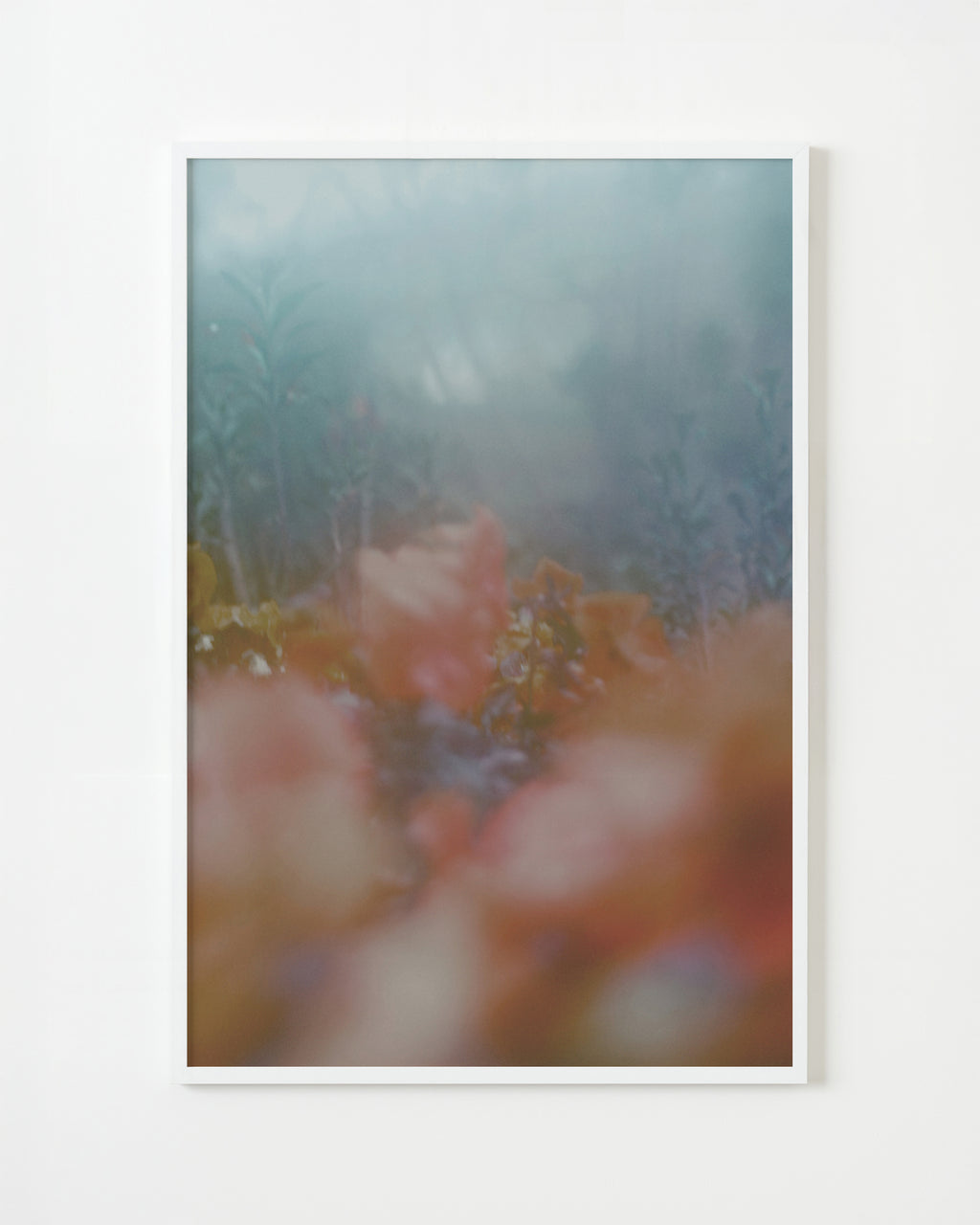 Photography by Jordan Sullivan titled "The Autumns of Spring 12" - 1.