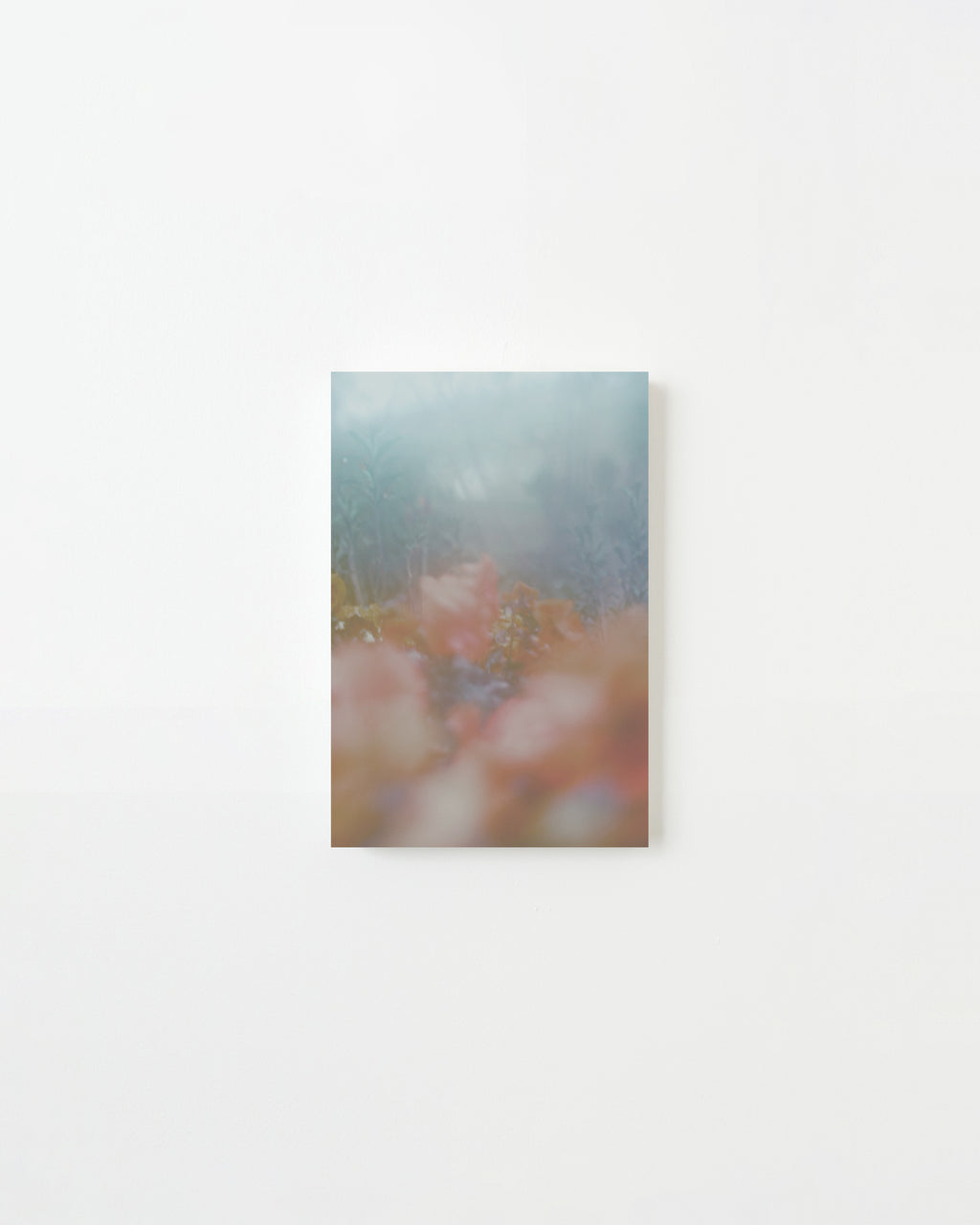 Photography by Jordan Sullivan titled "The Autumns of Spring 12" - 3.