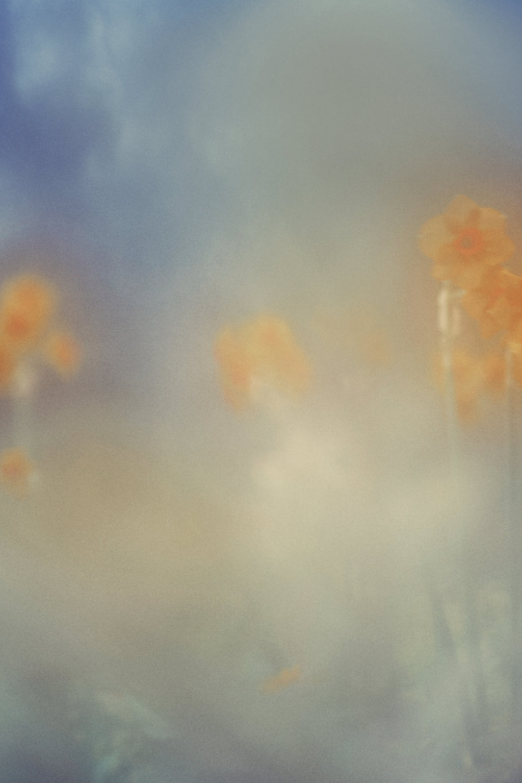 Photography by Jordan Sullivan titled "The Autumns of Spring 13" - 2.