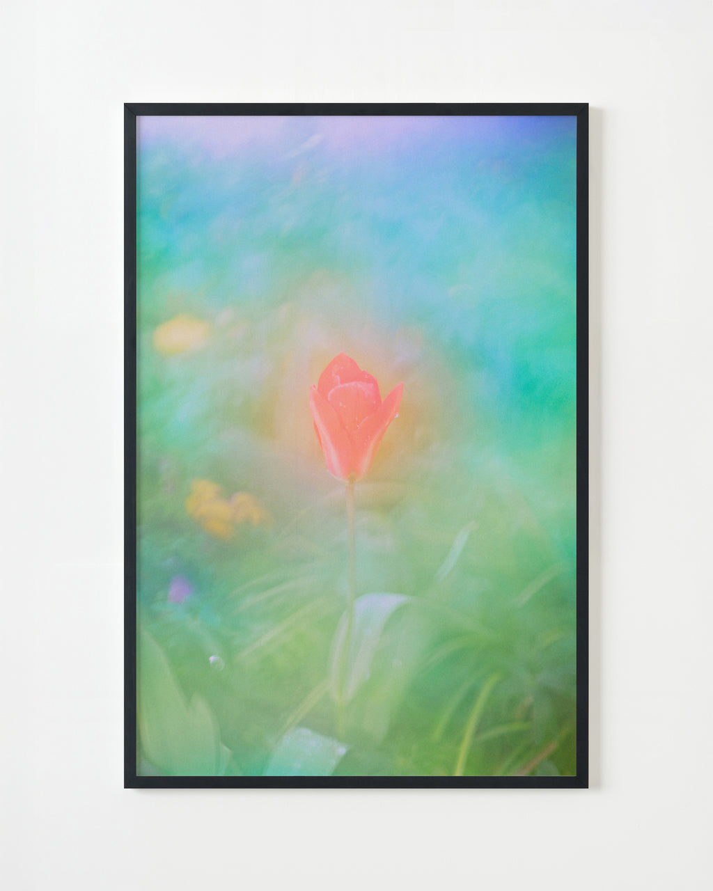 Photography by Jordan Sullivan titled "The Autumns of Spring 15" - 4.