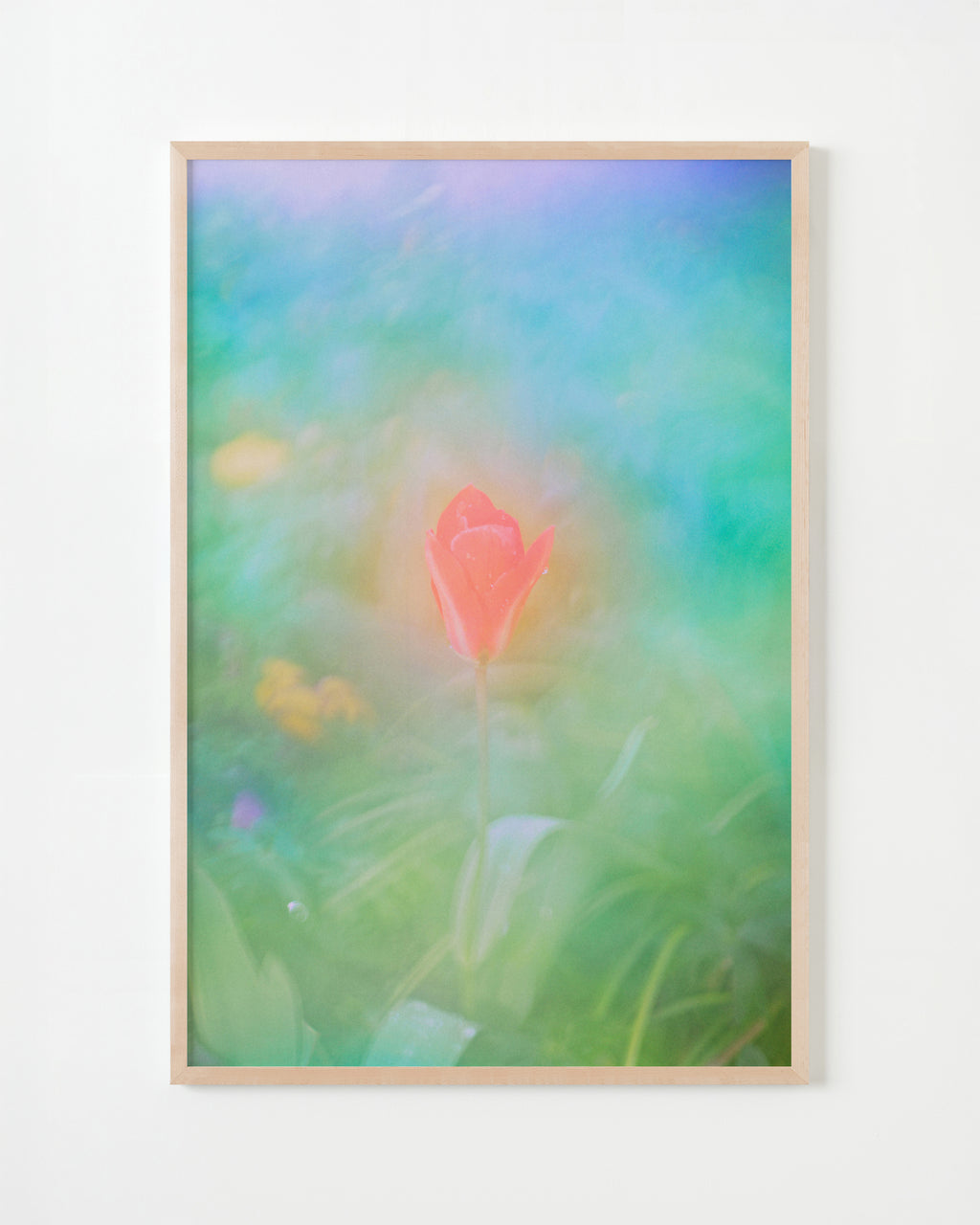 Photography by Jordan Sullivan titled "The Autumns of Spring 15" - 5.