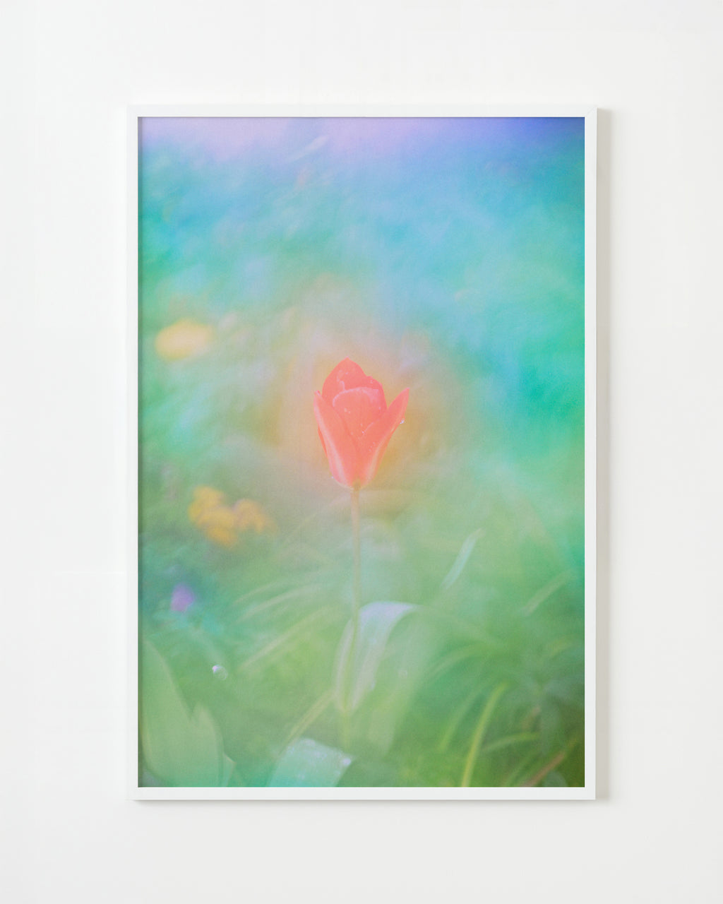 Photography by Jordan Sullivan titled "The Autumns of Spring 15" - 1.