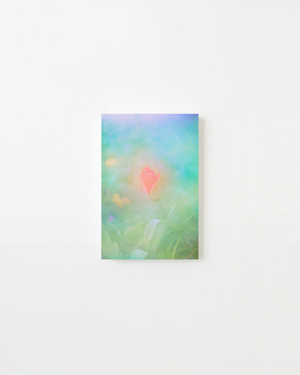 Photography by Jordan Sullivan titled "The Autumns of Spring 15" - 3.