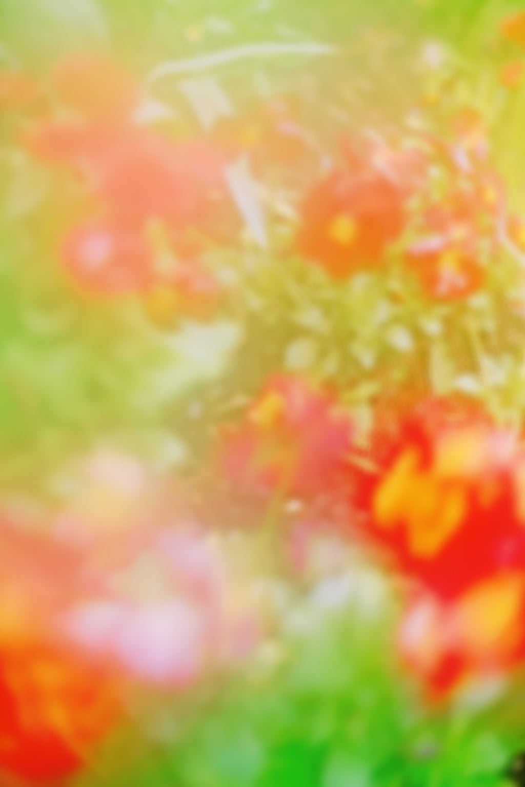 Photography by Jordan Sullivan titled "The Autumns of Spring 19" - 2.