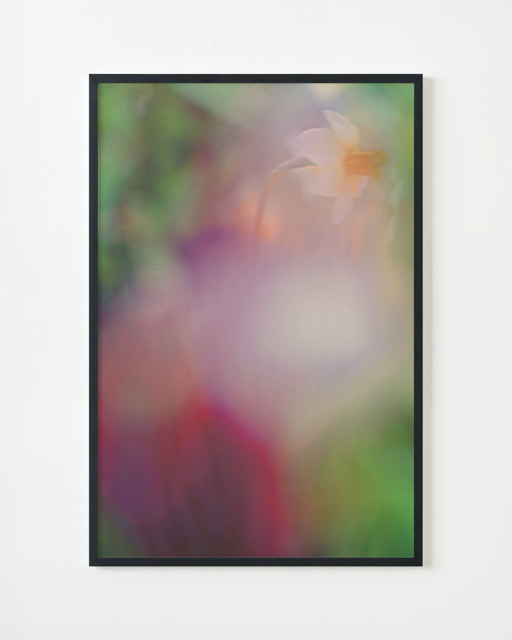 Photography by Jordan Sullivan titled "The Autumns of Spring 2" - 4.