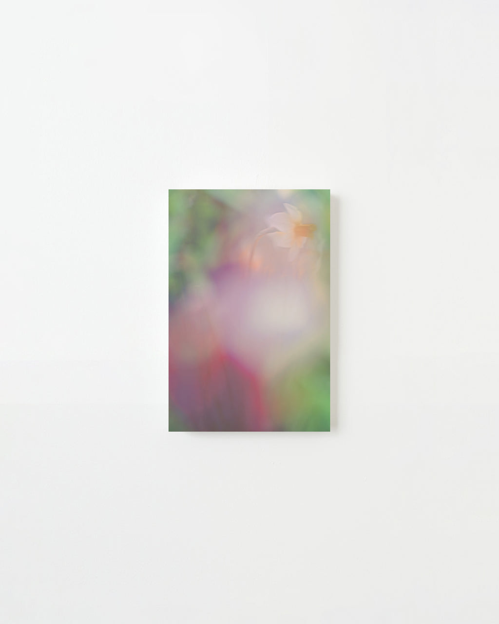 Photography by Jordan Sullivan titled "The Autumns of Spring 2" - 3.