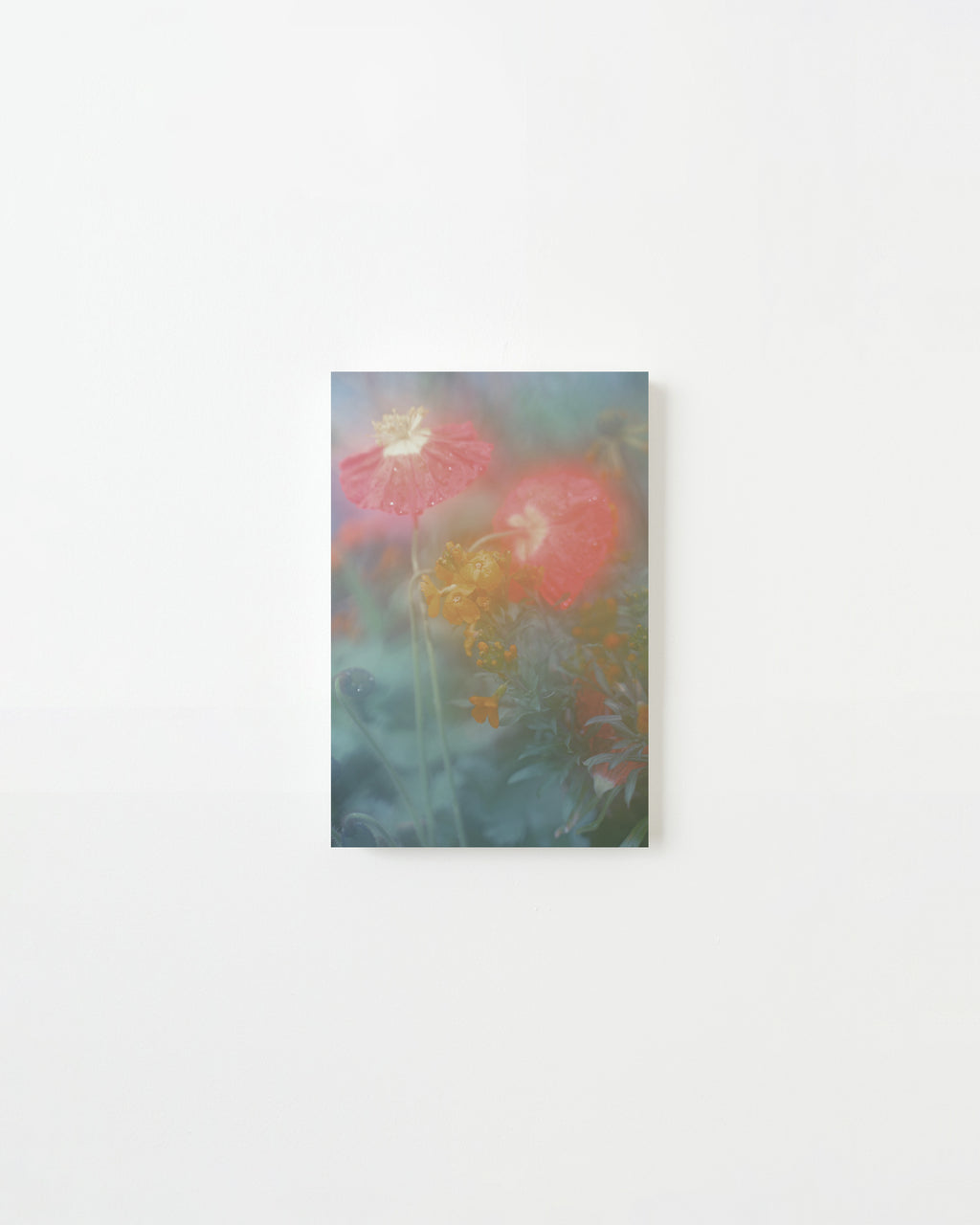 Photography by Jordan Sullivan titled "The Autumns of Spring 3" - 3.